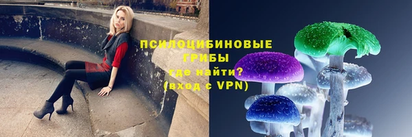 ECSTASY Алексин